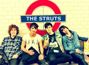 the struts